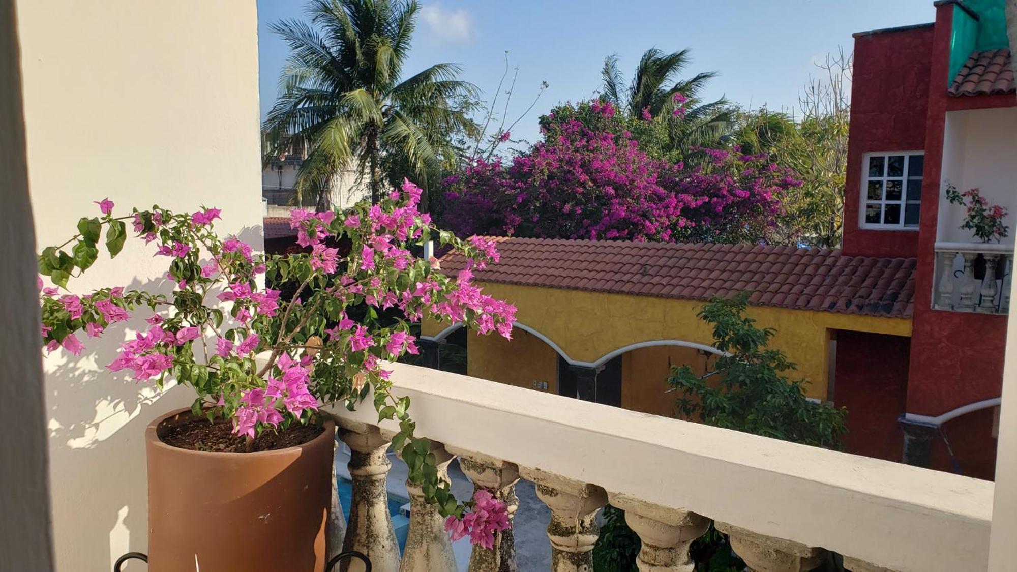 Villa Casa Colonial Cozumel, Mango Cozumel