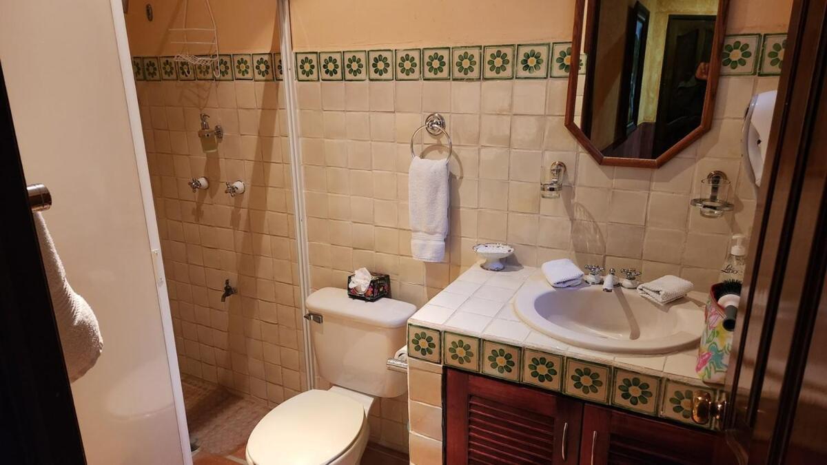 Casa Colonial Cozumel, Mango