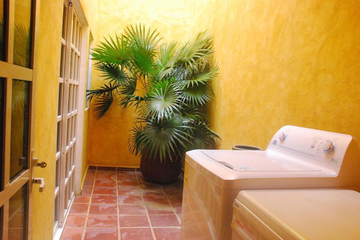 Casa Colonial Cozumel, Mango *